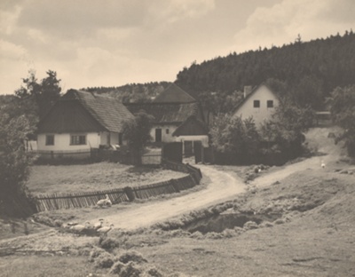 Chalets in the Woods (Chalupy pod lesem)