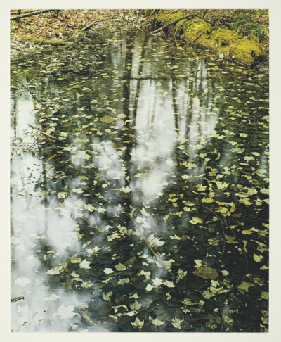 Woodland Pool, Chocorua, New Hampshire