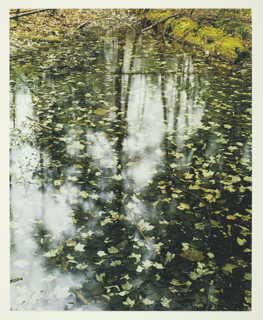 Woodland Pool, Chocorua, New Hampshire