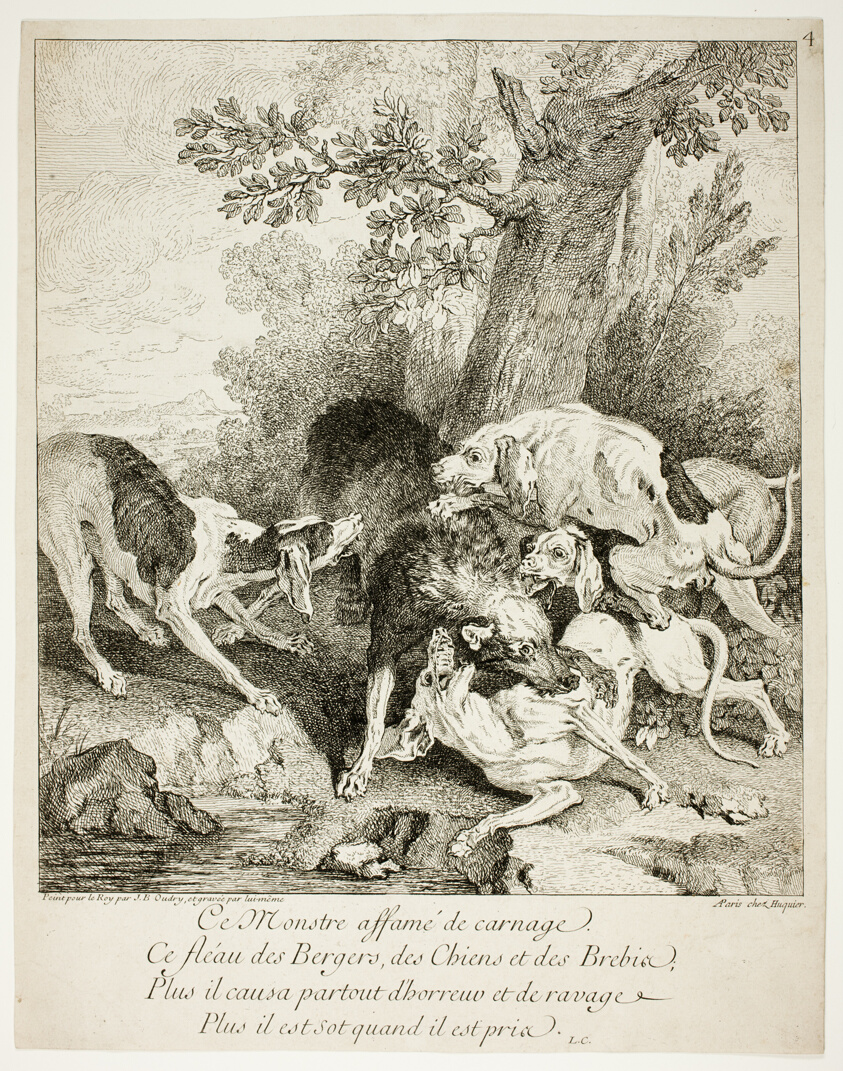 The Wolf at Bay