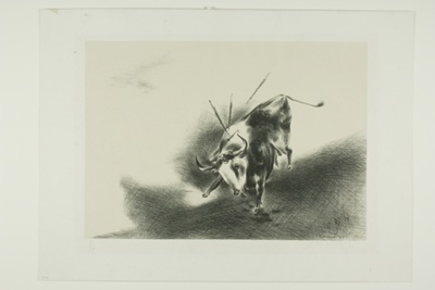 The Bull