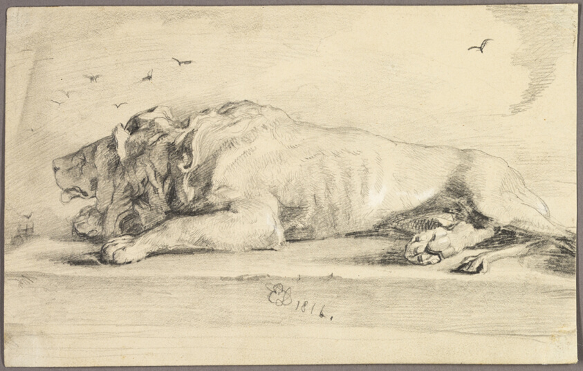 Reclining Lion