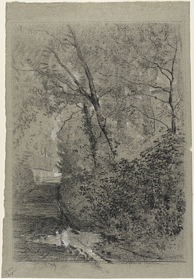 Path in the Woods
