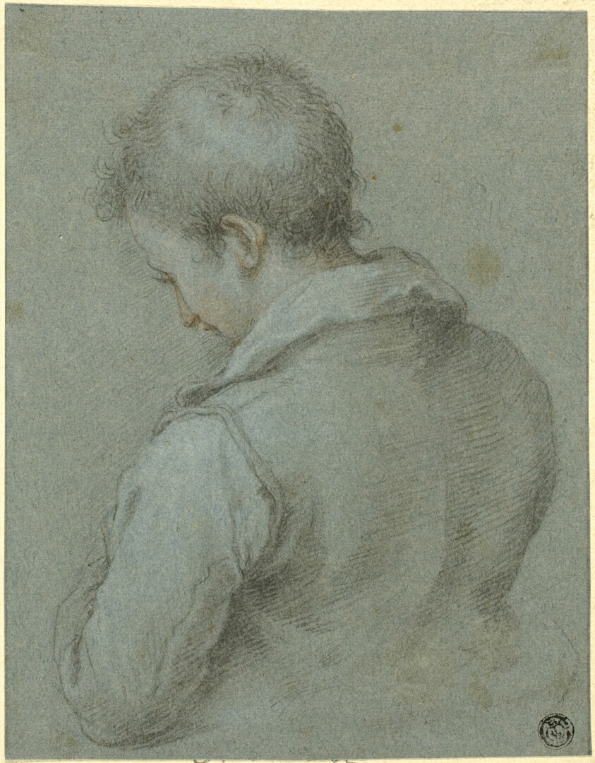 Head and Shoulders of a Man seen from the Back