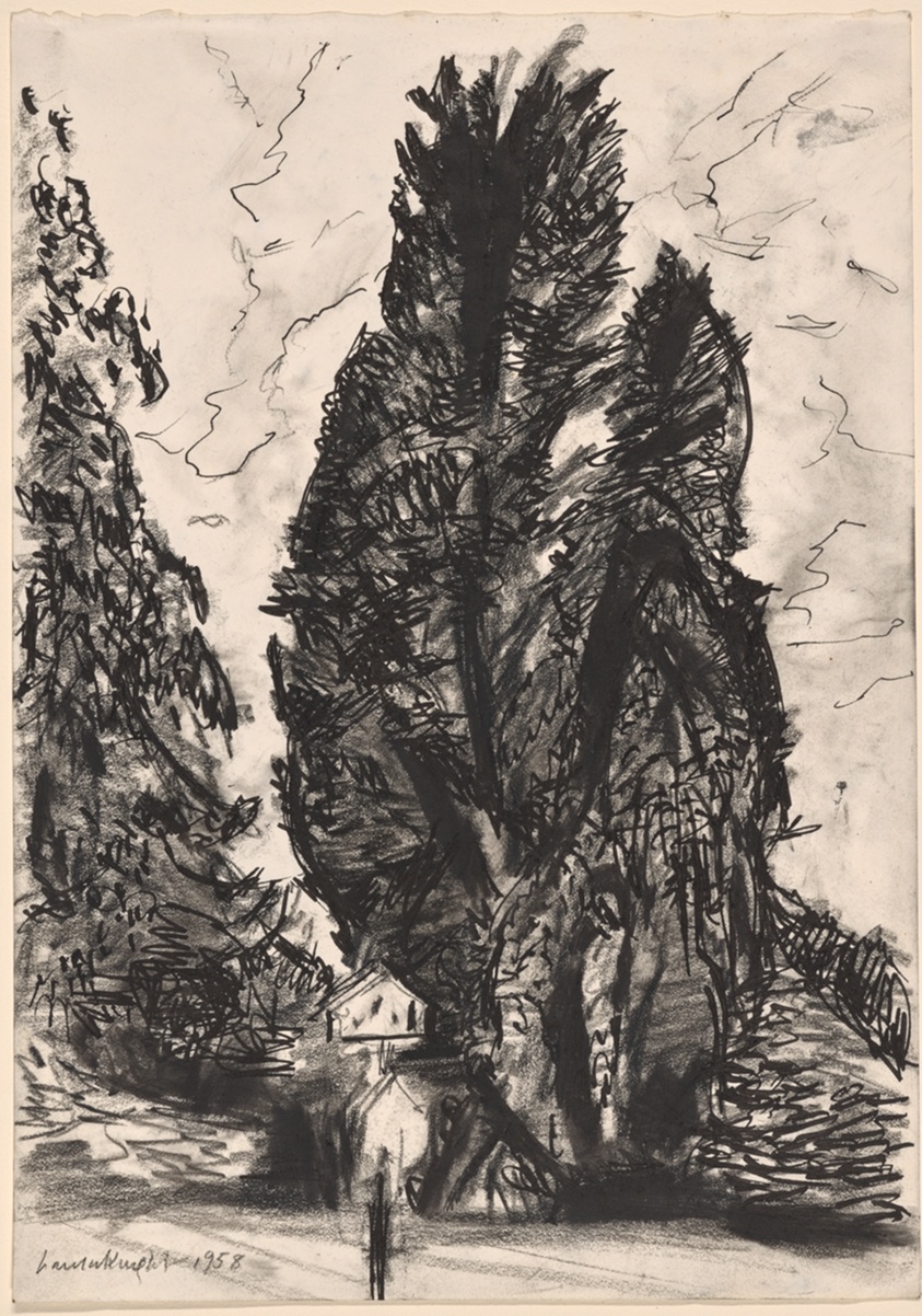 Untitled (Study of Trees)