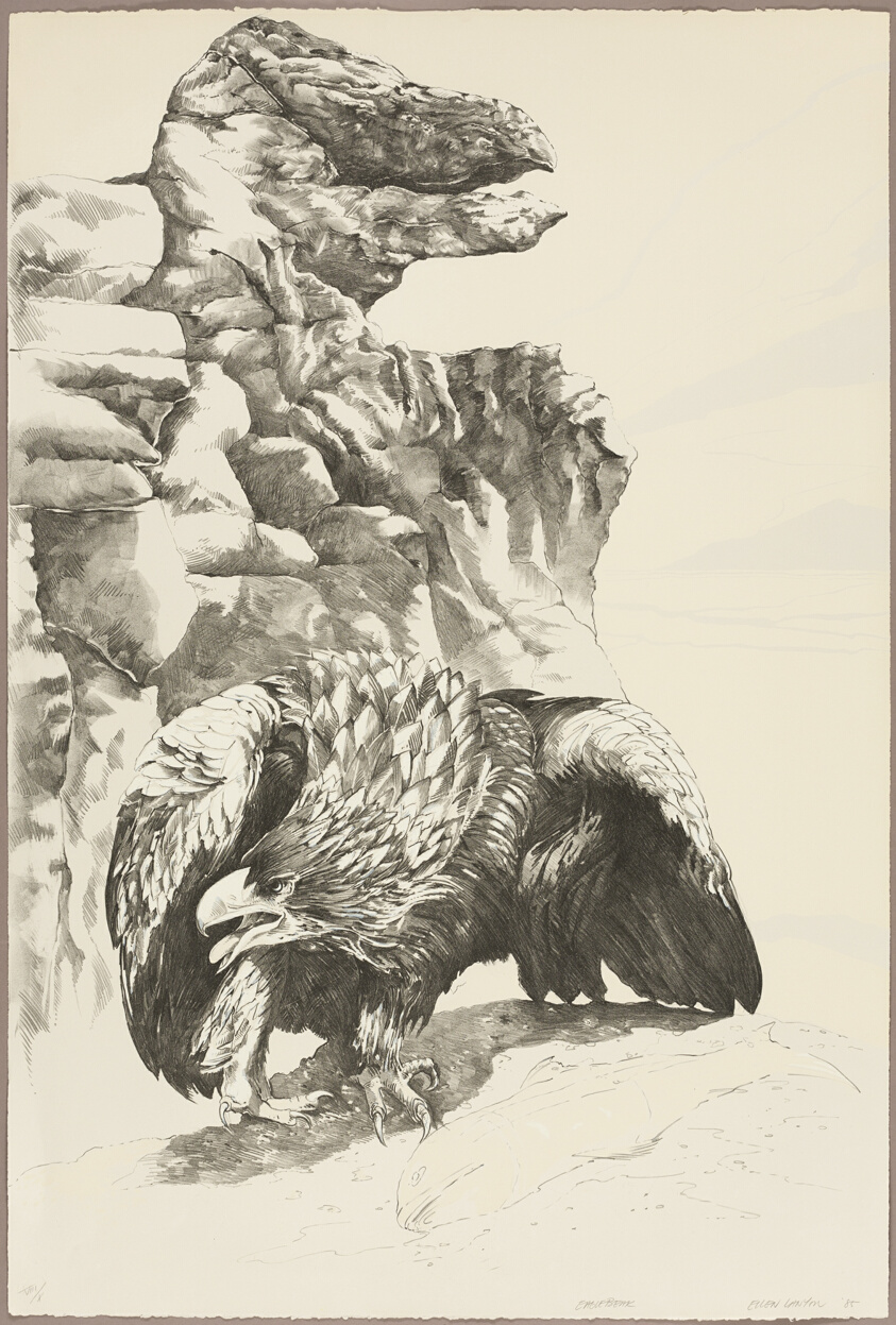 Eagle Beak