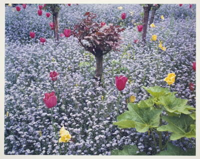 Giverny, France