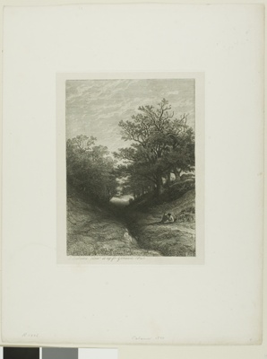 Alpine Landscape
