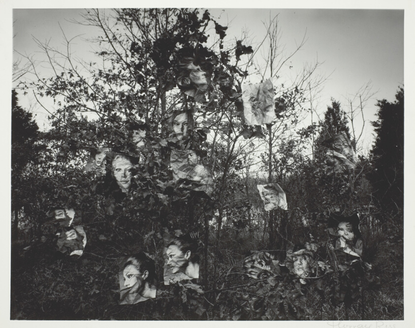 Faces #2