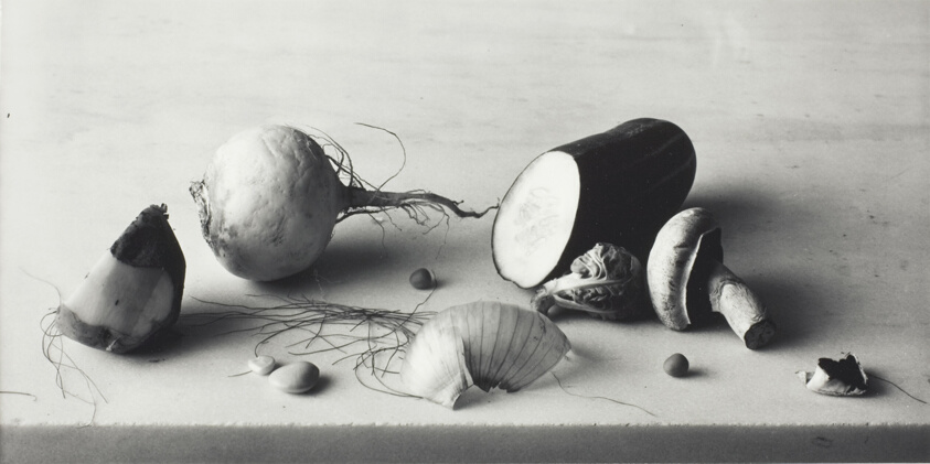 Still Life with with Onion Skin, New York