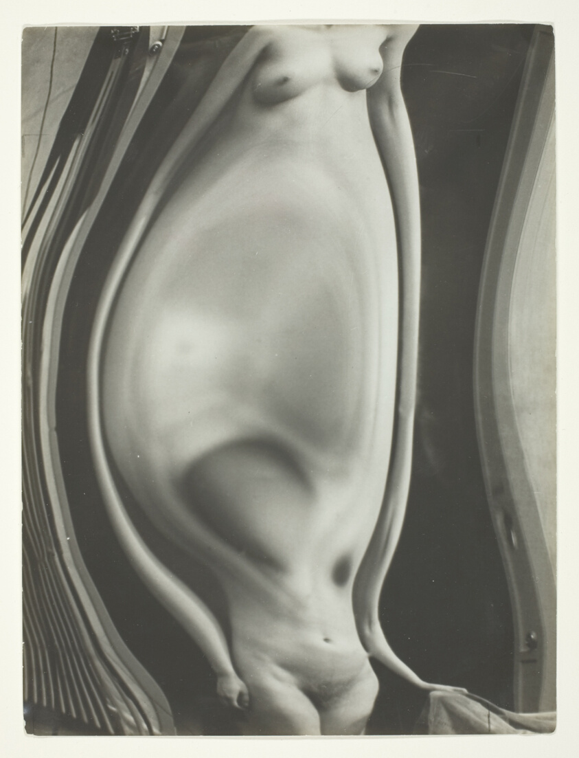 Untitled (Distortion #112)