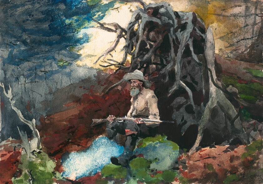 Campfire, Adirondacks