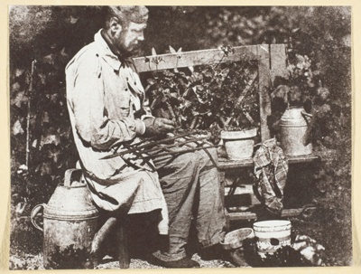 Bayard Jardinier