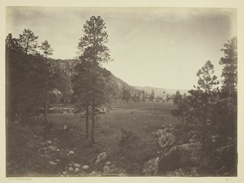 Cooley's Park, Sierra Blanca Range, Arizona