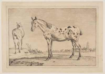 The Neighing Horse, from Series of Horses