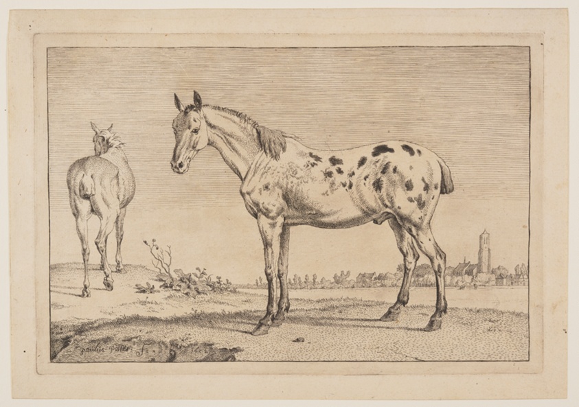 The Neighing Horse, from Series of Horses