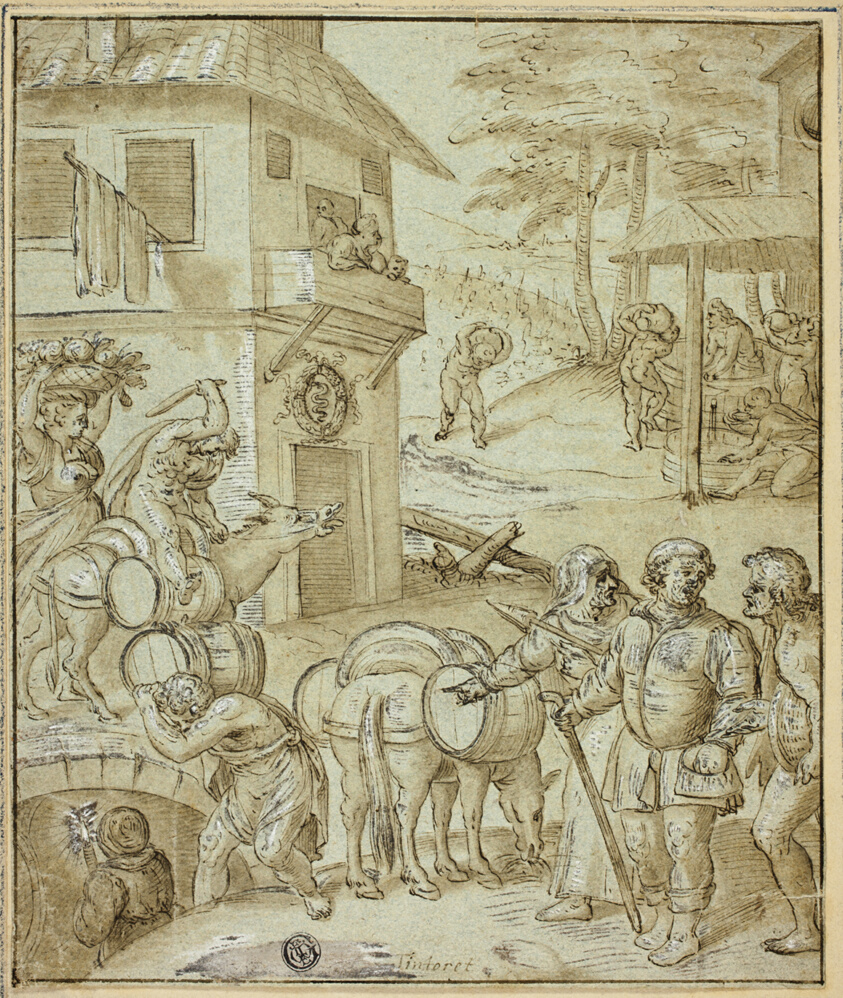 Wine Harvest