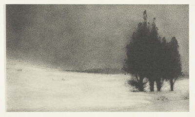 Three Trees in a Snowy Landscape