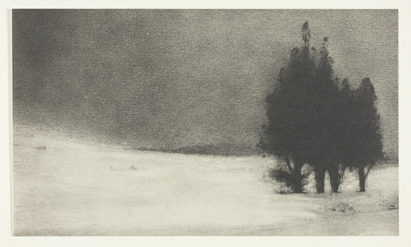 Three Trees in a Snowy Landscape