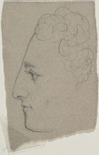 Profile Sketch