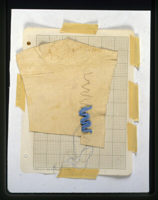 Two Study Samples