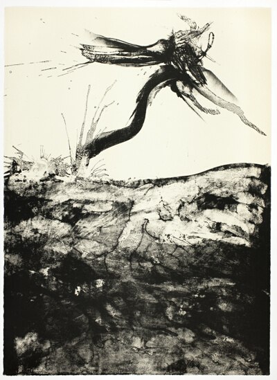 Flight IV