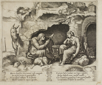 Apuleius Changed into a Donkey