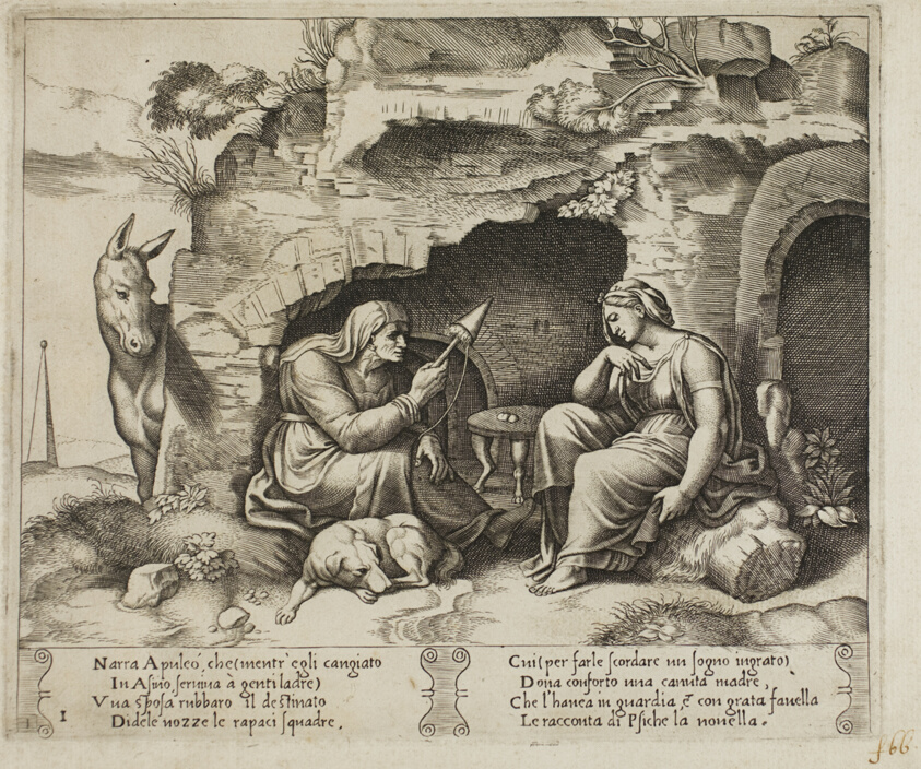 Apuleius Changed into a Donkey