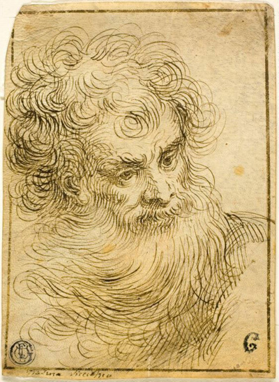 Head of Bearded Old Man (recto); Decorative Sketch of Flower and Leaves (verso)
