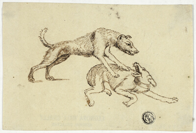 Two Dogs Fighting
