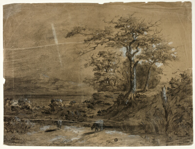 Wooded Landscape with Cows in Foreground