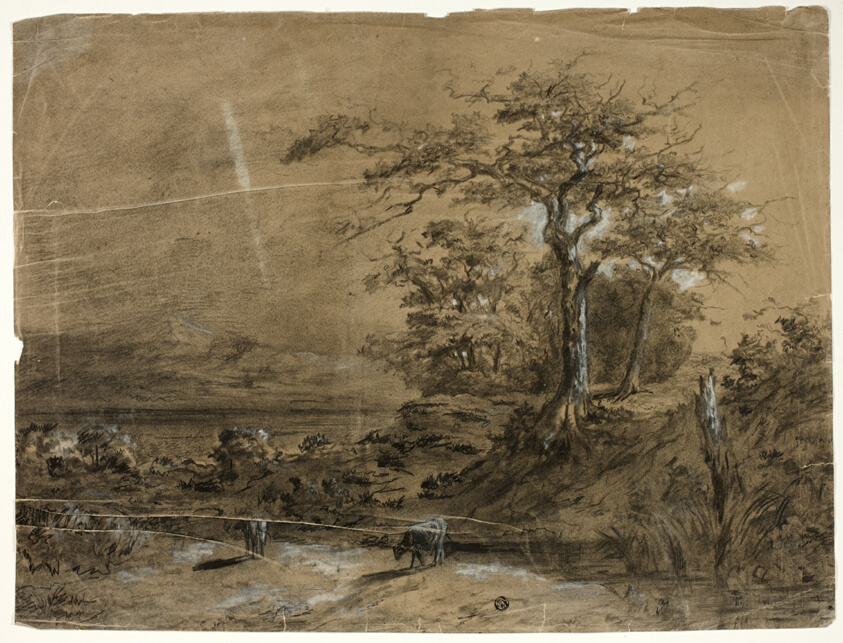 Wooded Landscape with Cows in Foreground