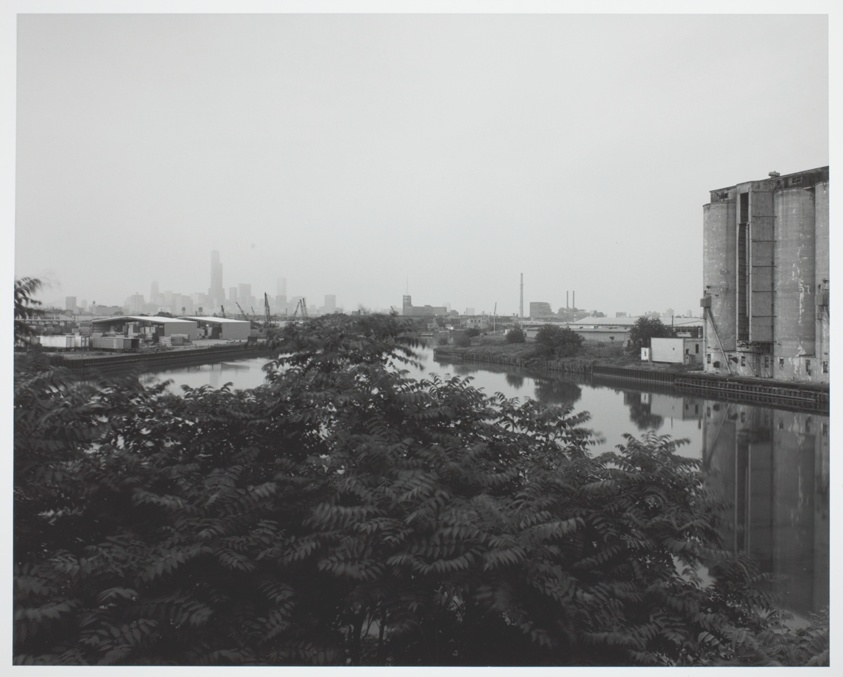 South Branch of Chicago River at Damen