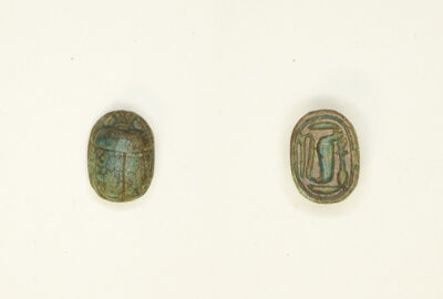 Scarab: Cobra