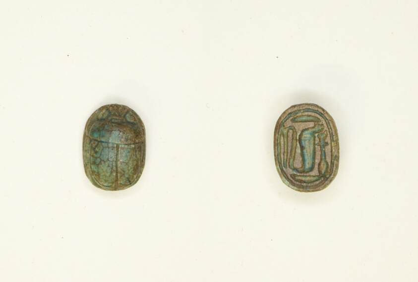 Scarab: Cobra