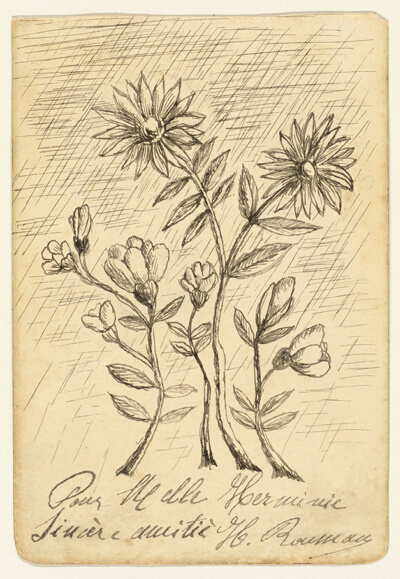 Oak Branch