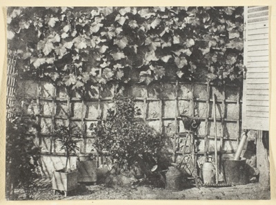 La Treille