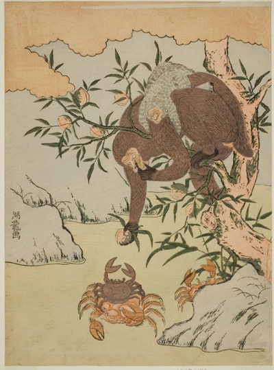 Monkey playing with crabs