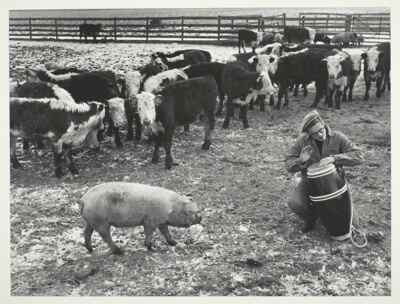 Jimmy Beating Bongo Drums for Farm Animals
