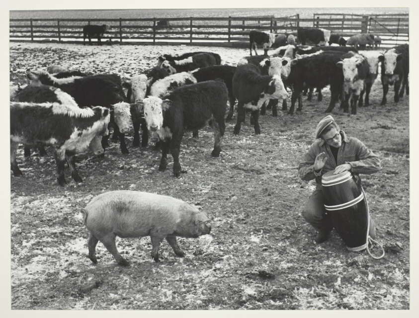 Jimmy Beating Bongo Drums for Farm Animals