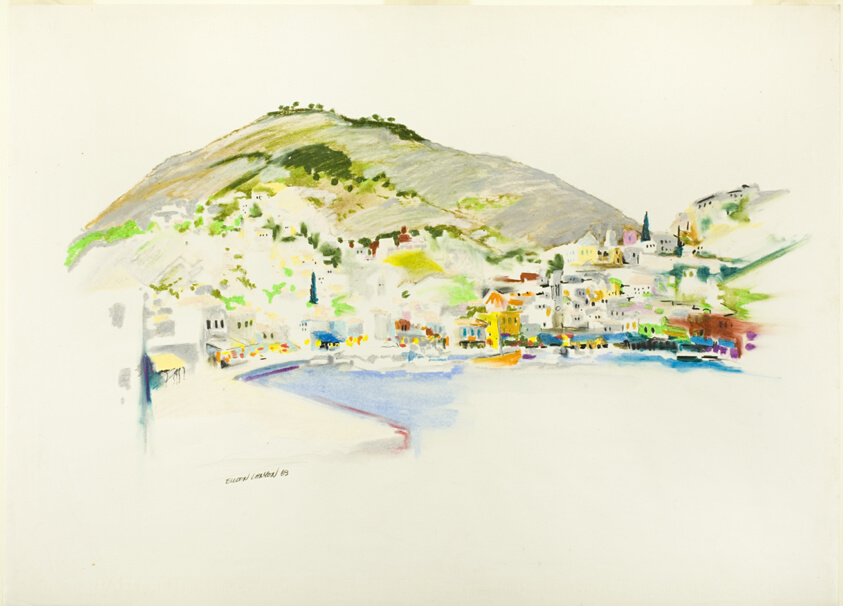 Bayside Village and Mountain