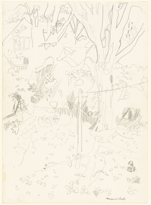 Trees and House
