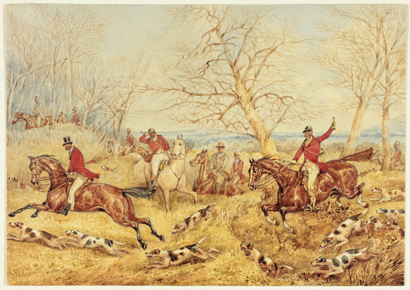 Fox Hunt