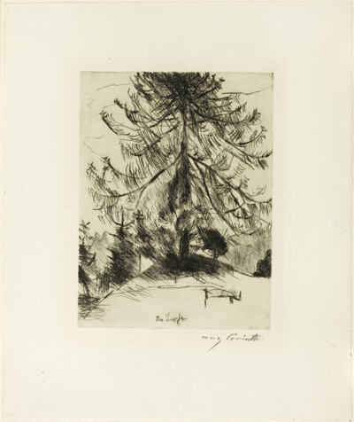 Fir Tree, plate six from Am Walchensee