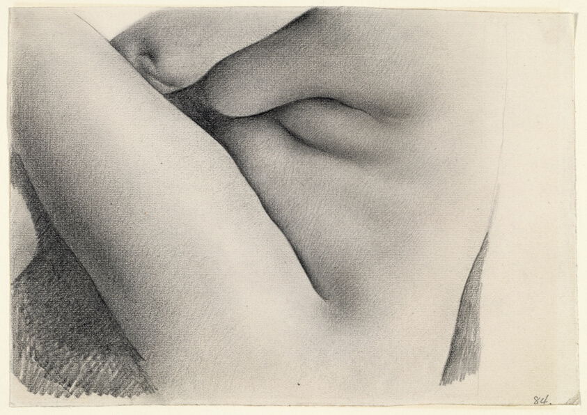 Nude Torso