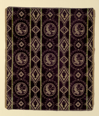 Panel