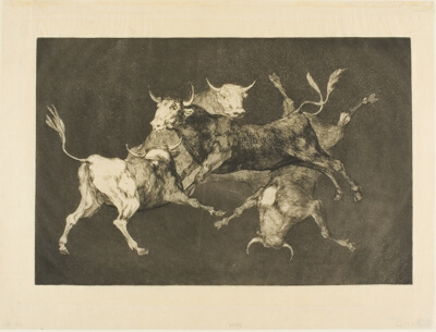Fool’s Folly, from Disparates