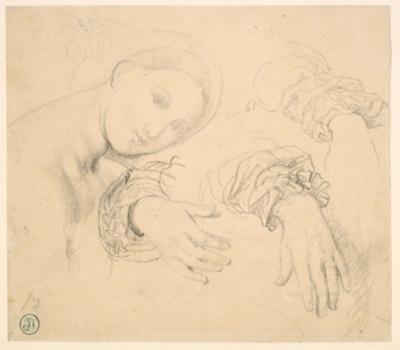 Sheet of Studies with the Head of the Fornarina and Hands of Madame de Senonnes