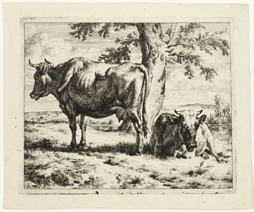 Two Cows under a Tree