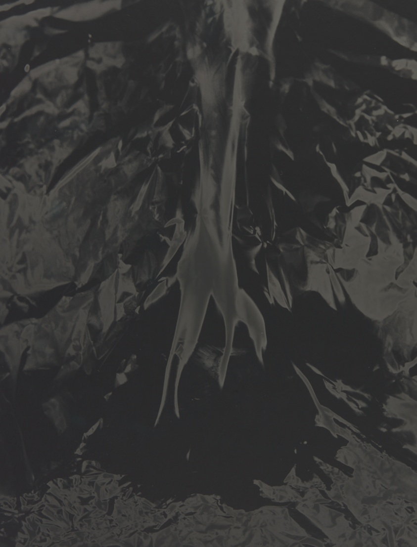 Untitled (Solarization)